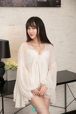 机智的上半场电视剧免费观看