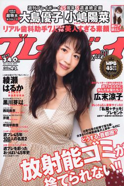 隋唐演义 电视剧