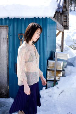 辛花路放