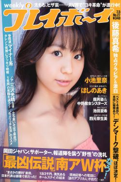 小欢喜2