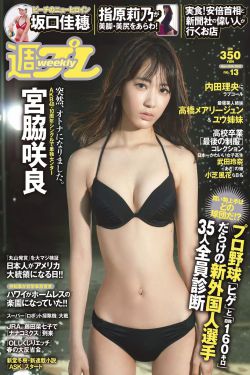 车晓电视剧